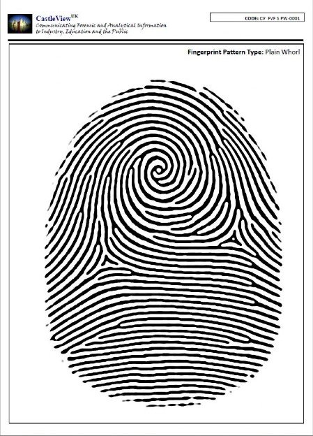 Fingerprint Images
