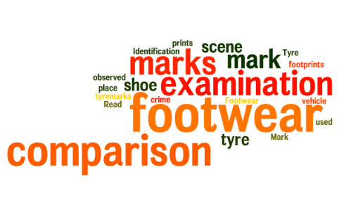Footwear and Tyre Mark Identification: Read about how footwear marks and tyre marks observed at a scene of crime can be used to place a shoe or vehicle at the scene; examination of footwear marks, footwear examination, footwear mark examination, footwear mark comparison, comparison of footwear marks, examination of tyre mark, comparison of tyremarks, comparison of footprints, comparison of shoe prints