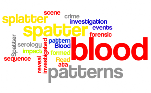 Blood Spatter: Read about how blood spatter patterns are formed and how they are investigated to reveal the sequence of events ata scene of crime. forensic, investigation, blood, spatter, blood splatter, blood spatter patterns, blood splatter patterns,  serology, impact pattern