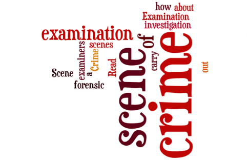 Crime Scene Examination: Read about how crime scene examiners carry out forensic examination of a scene of crime; crime scene examination, crime scene investigation, crime scenes