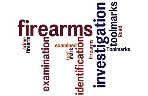 Firearms and Toolmarks: Read about firearms and toolmarks, and how they can be examined in the investigation of crime; investigation of firearms, firearms examination, investigation of toolmarks, tool mark examination, identification of firearms, firearm identification