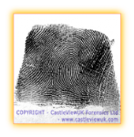 A Right Looped Fingerprint