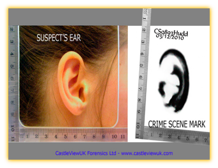 A Suspect's Ear and Crime Scene mark